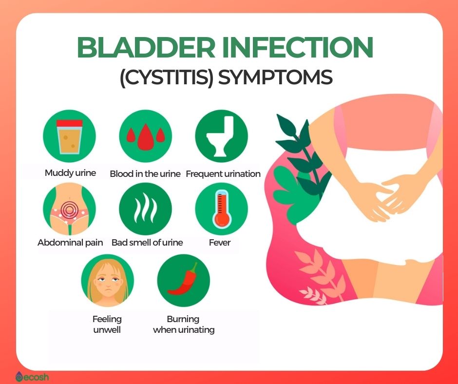 UTI Cystitis Bladder Infection symptoms [ECOSH]